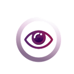 Vision